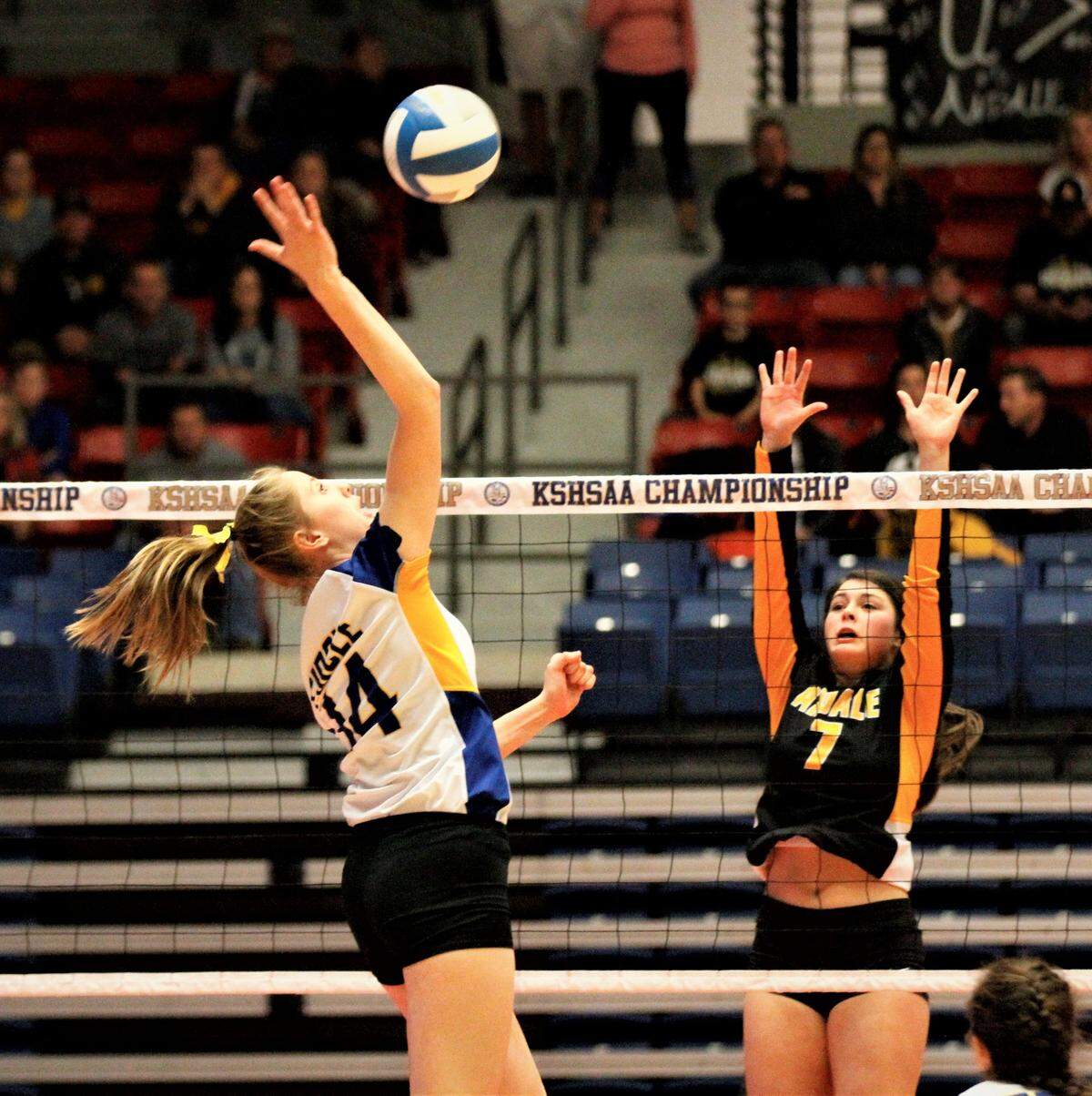 Circle’s Mallory Cowman