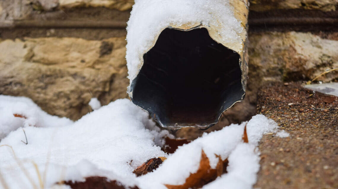 Here’s expert advice on how to keep your trees, shrubs, lawn alive during dry winter