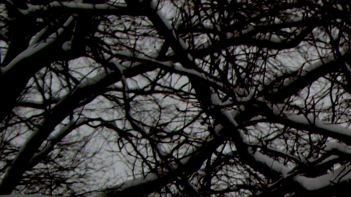 Wonderful winter weather displayed at Keeper of the Plains. <br></br><strong>Location:</strong> Keeper of the Plains<br></br><strong>Date:</strong> 01-15-2011
