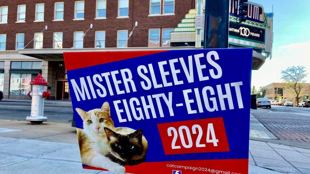 Campaign signs pushing two local cats for office — though it’s unclear what office — have been popping up all over Wichita. This one is posted across the street from The Orpheum Theatre at Second and Broadway.