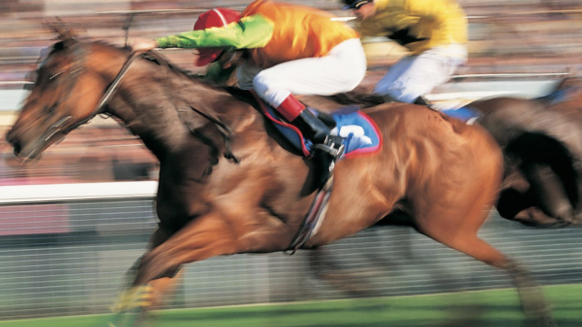 Horse-race betting will be only one of the attractions when the new Gilley’s casino opens just north of Wichita in December.