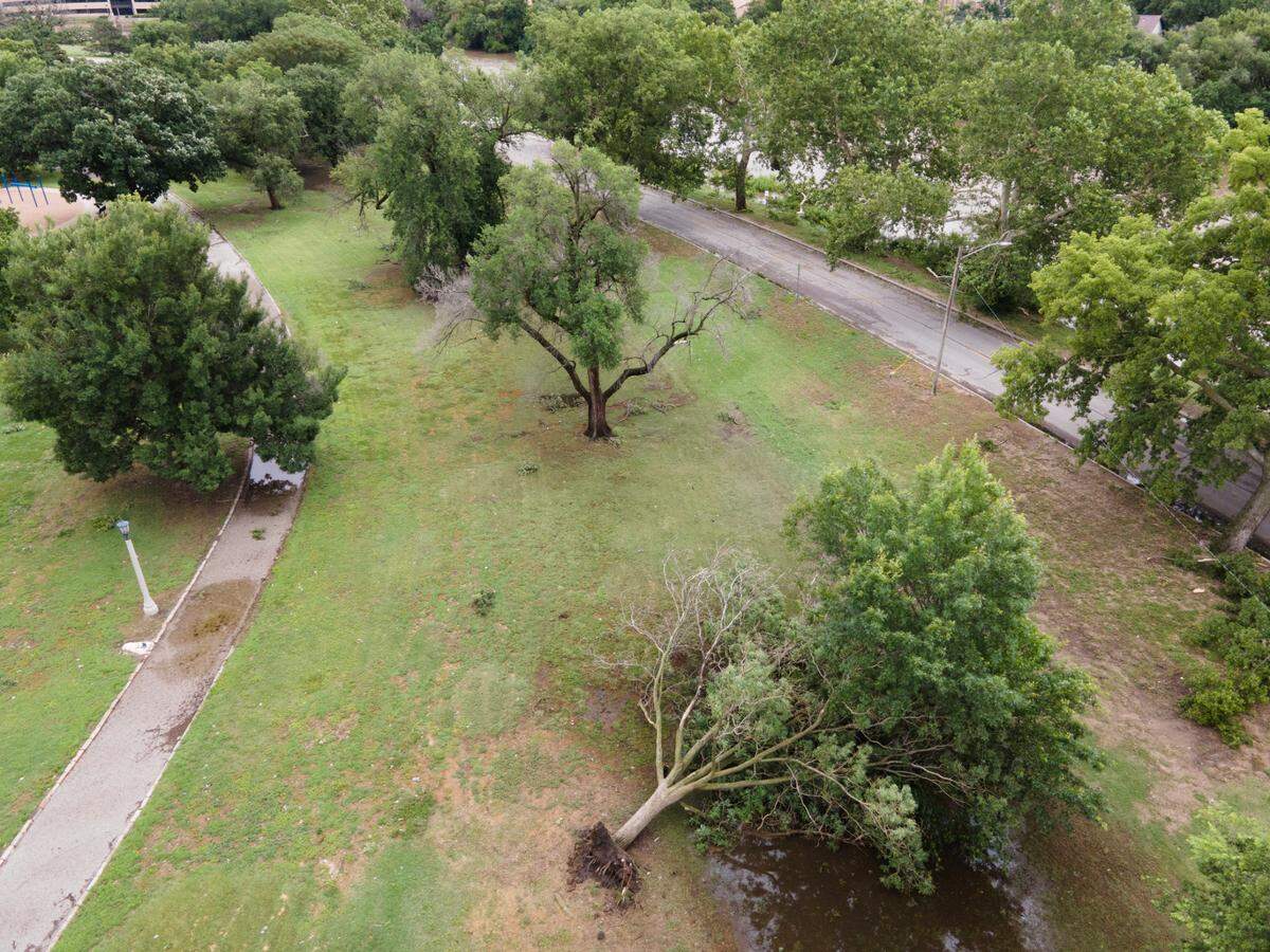A large tree toppled over after the recent storms in Central Riverside Park.