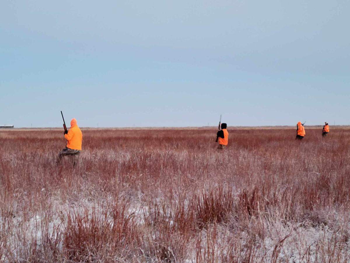 Our first field during our first morning of hunting pheasant in western Kansas.