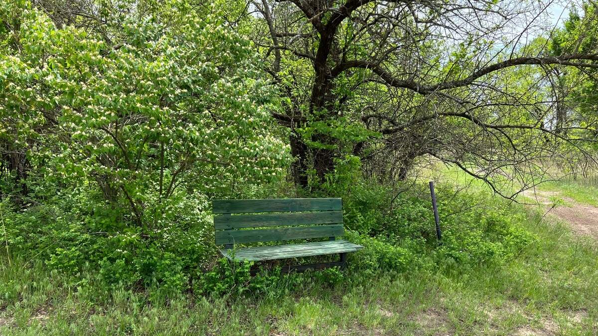 This year’s medallion was affixed to the bottom of this bench in the middle of the Idlewild Park Nature Walking Trail.