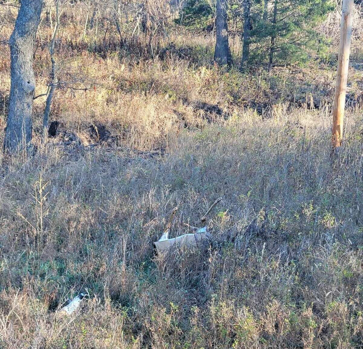 My decoy got blown up by a 10-point buck this week. At the top of the picture is a cedar tree where the buck stood broadside at 35 yards.