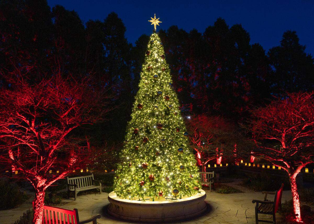 Illuminations will run from Nov. 29 through Jan. 4, welcoming some 150,000 visitors over its season.