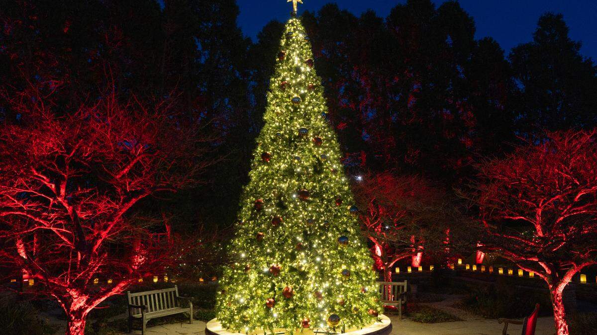 Illuminations will run through Jan. 3. With more than 2 million lights, Illuminations transforms Botanica into what its officials call “the brightest spot in Kansas.” 