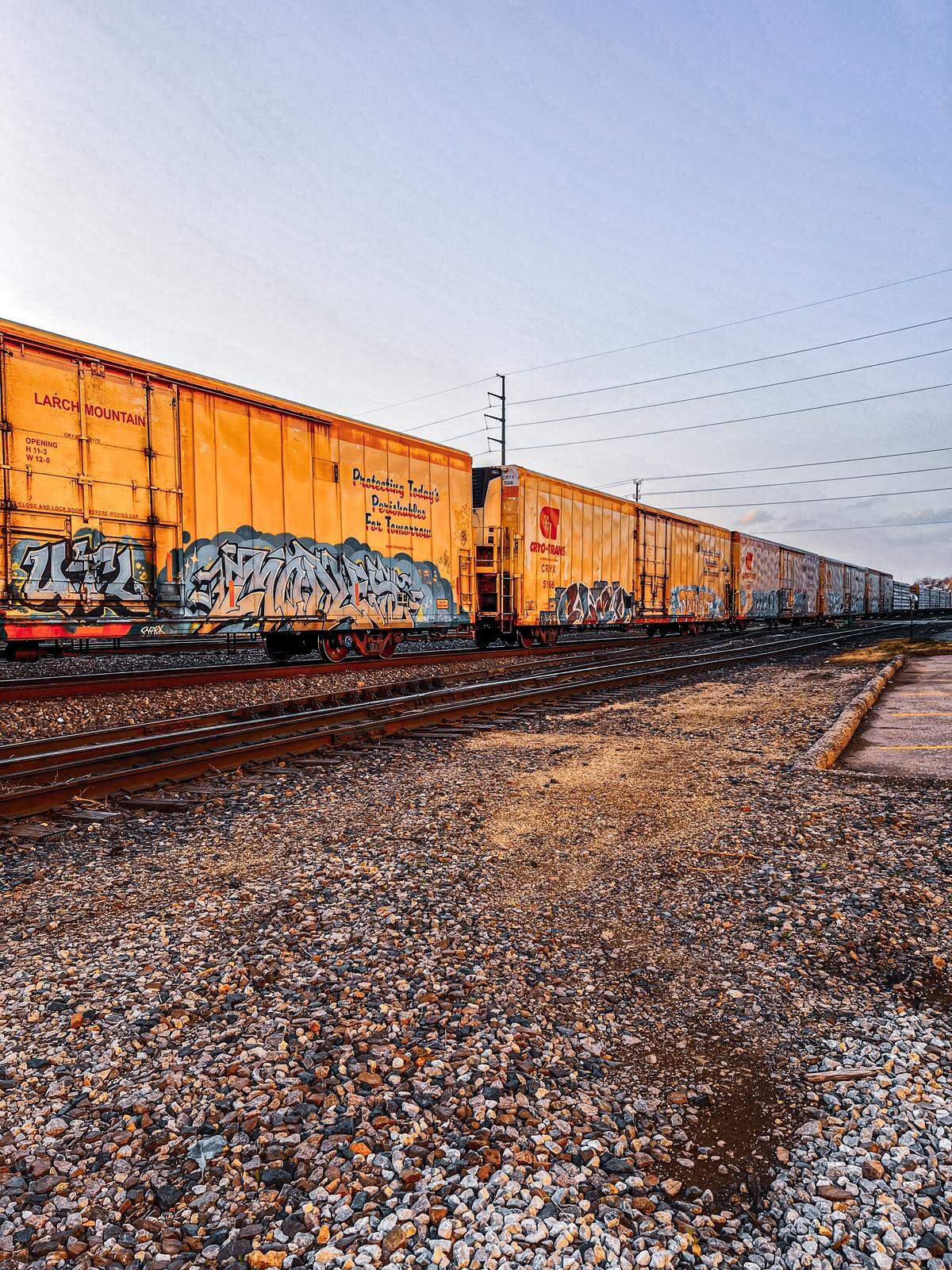 Darnel Marley captured graffiti on her favorite rail cars: “reefers,” which are the refrigerated box cars.
