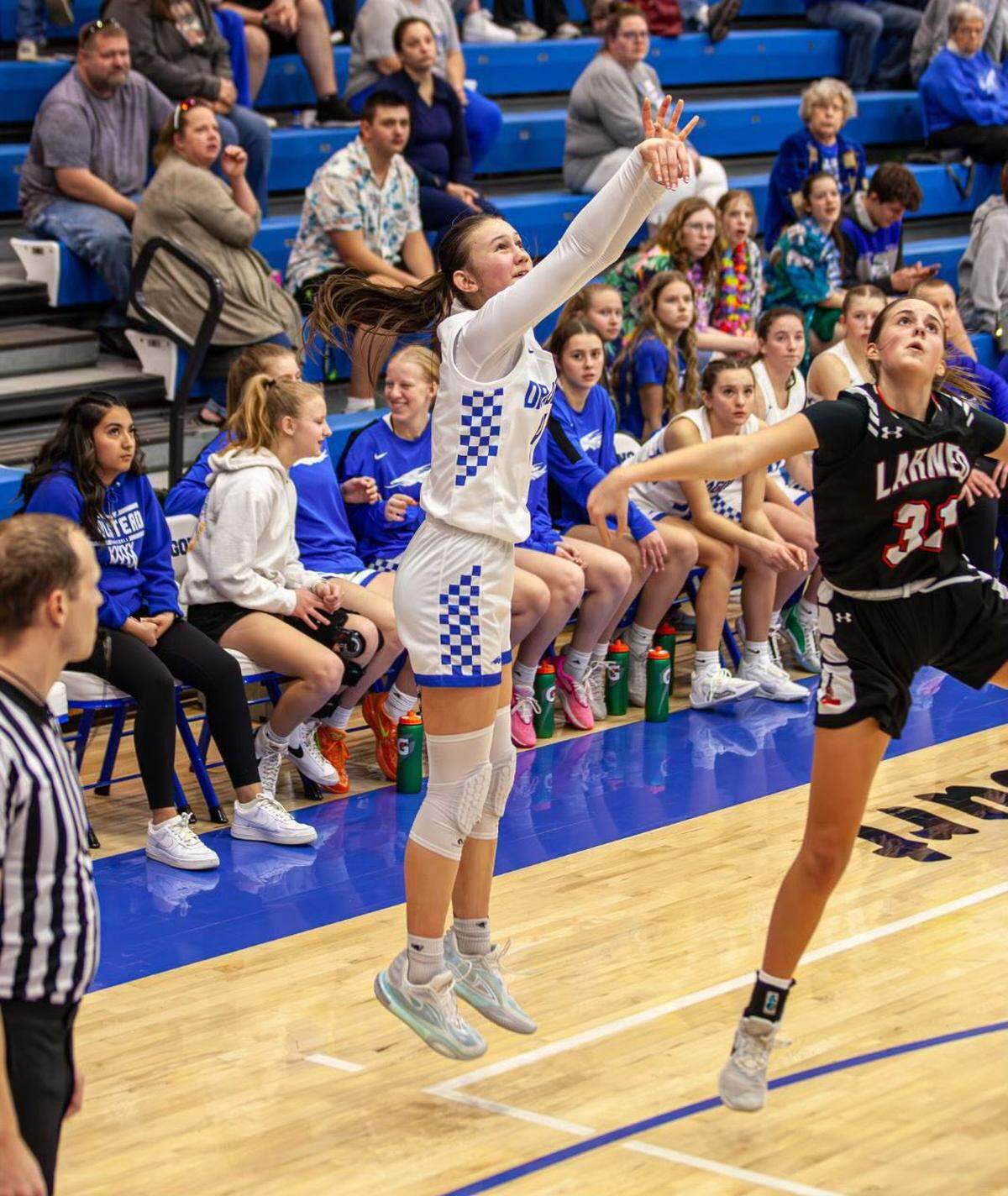Halstead senior Dominique Schutte was one of the top players in Class 3A this season.