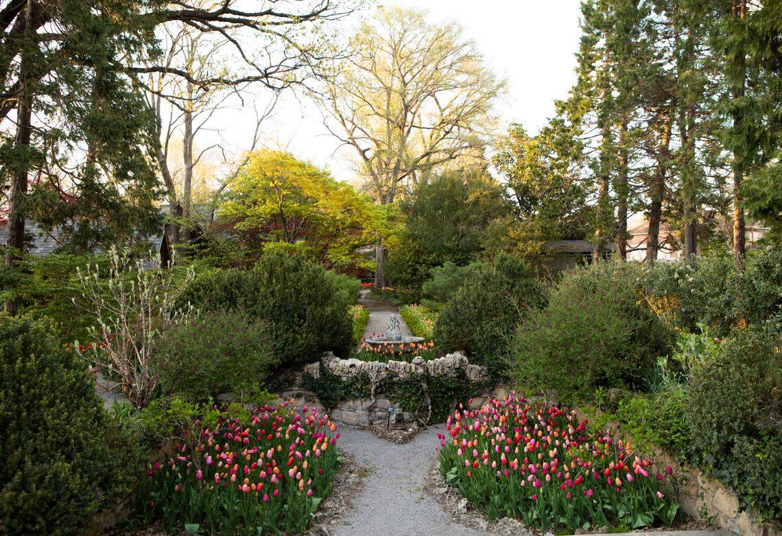 Tulips bloom at the Bartlett Arboretum during spring 2020.