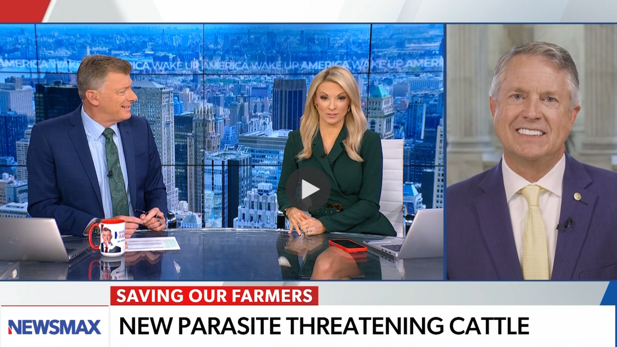 Kansas Sen. Roger Marshall is interviewed on Newsmax about the screwworm problem, which he blamed on Joe Biden and Hispanic migrants.