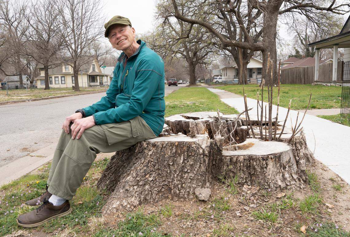 Harold Schlechtwag sits on a tree stump near Exposition and Douglas in the Delano neighborhood. Schlechtwag, one of the founders of CanopyICT, is pushing city officials to invest more money in tree planting.
