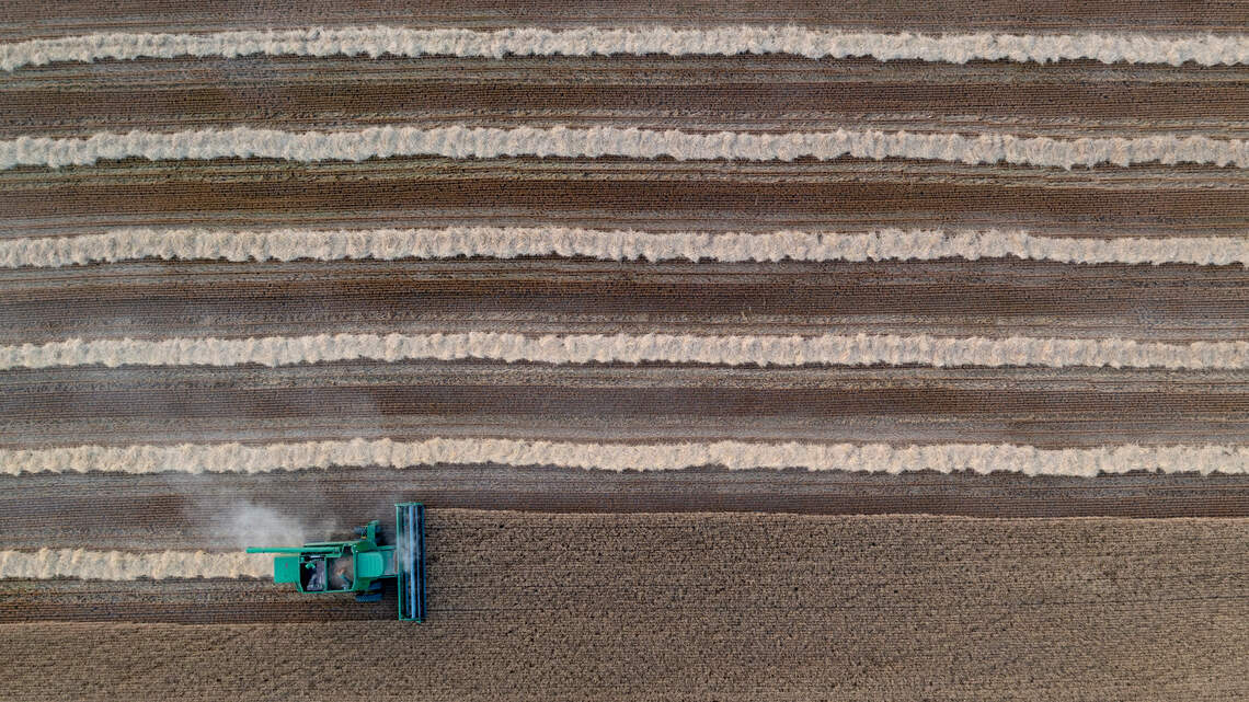 Hot nights are confusing Kansas crops. What does that mean for the nation’s food supply?