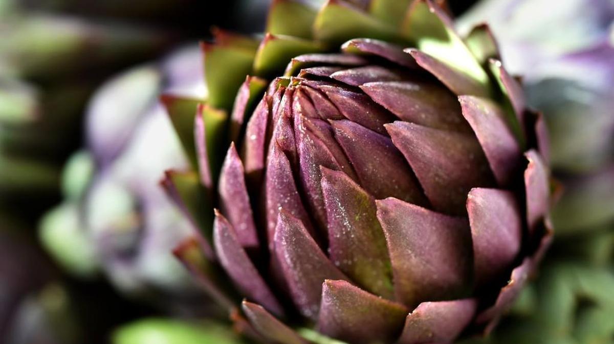 Artichokes are a favorite spring vegetable.