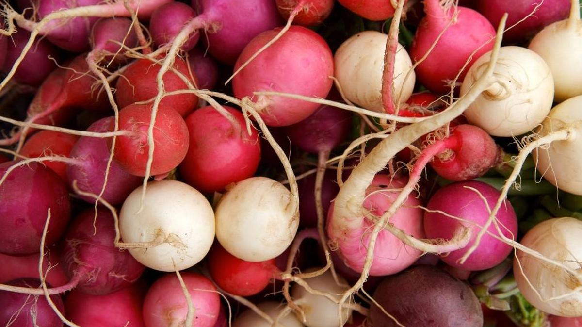 Fresh radishes can often be found at local farmers markets.