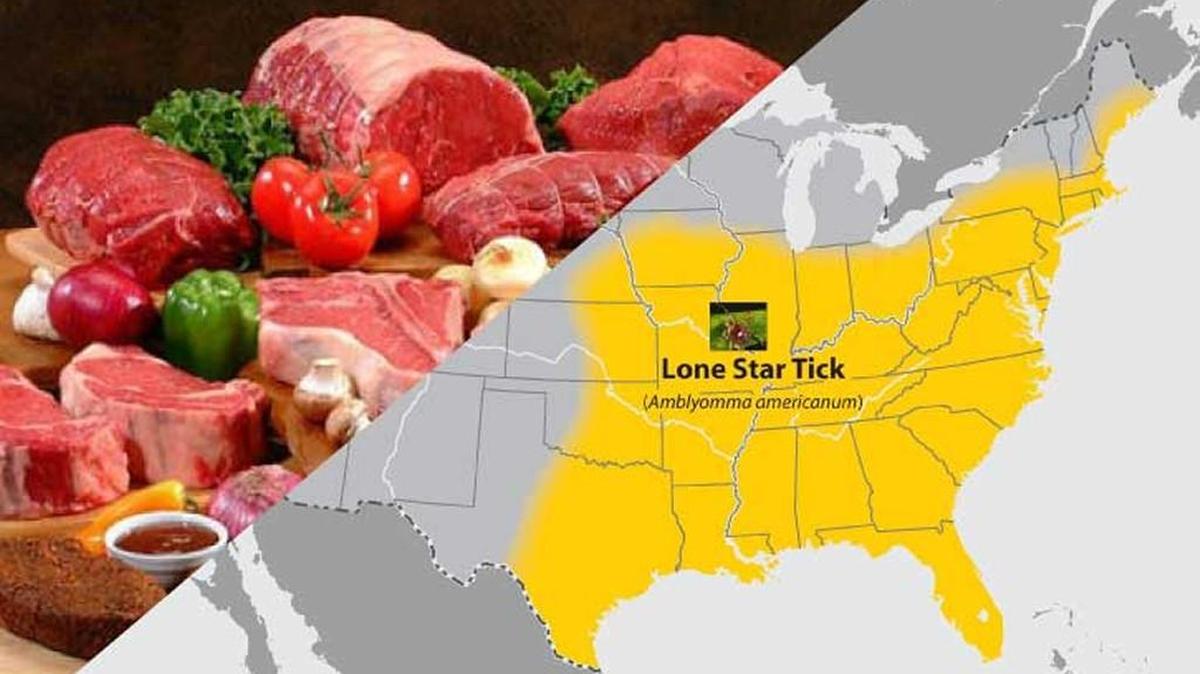 A bite from the lone star tick, common in Missouri and Kansas, can cause an allergic reaction to red meat.