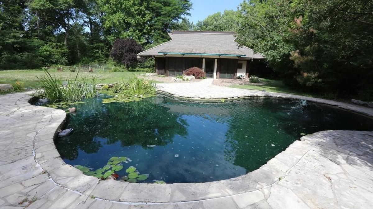 Barbara McKee’s old swimming pool in her back has become a water garden. It will be one of the many water gardens on display later this month during the Water Garden tour.