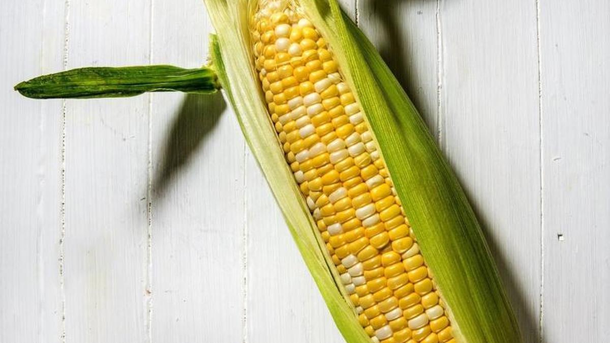 Stagger your corn plantings for a longer harvest.