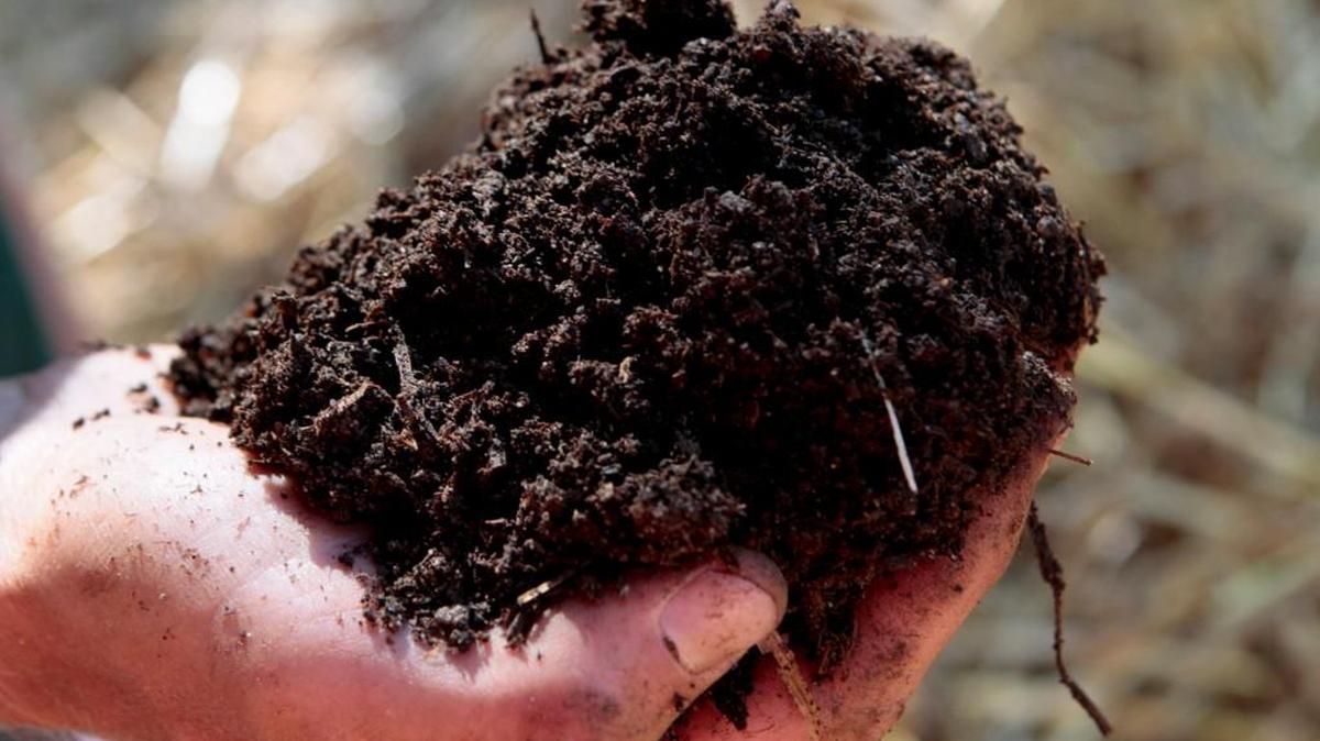 Be sure that compost is well-decomposed and finely shredded before adding it to soil in spring.