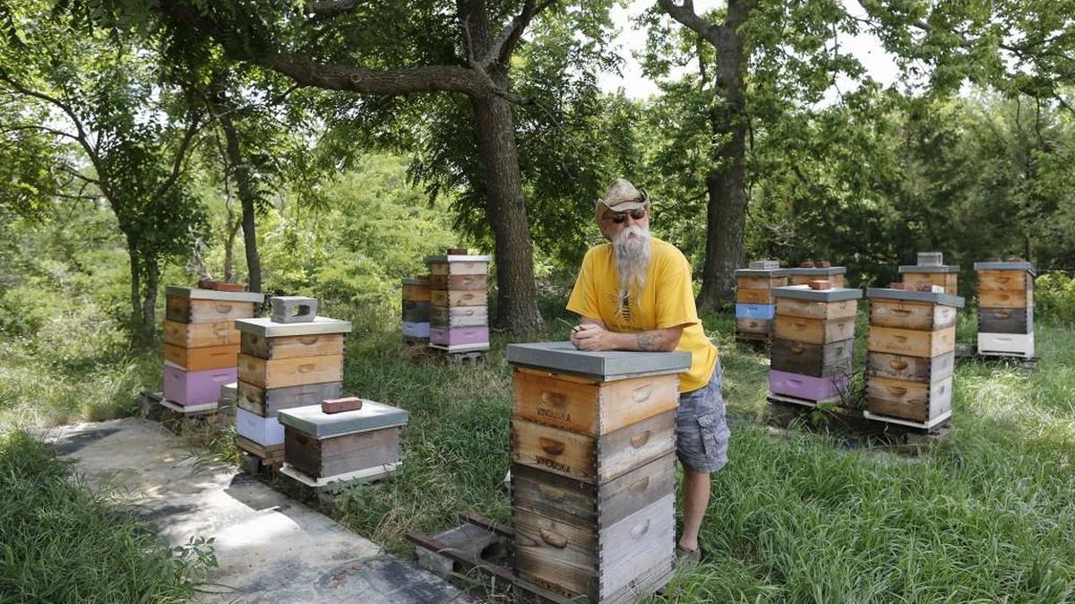 Beekeeper Bill Vinduska rests on a beehive on his property.