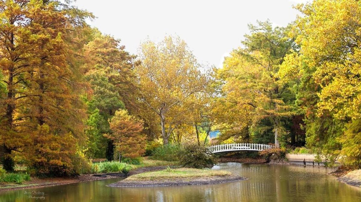 Trees are in their fall colors at Bartlett Arboretum in Belle Plaine, where a new TreeFest will take place Sunday.