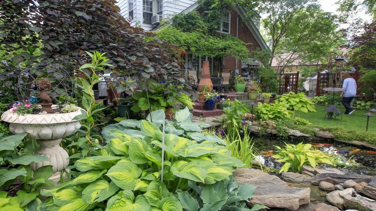 Janie Chisholm walks through her garden, which is full of hostas, at her east Wichita home Wednesday. Her home is part of the Master Gardener Garden Tour. (May 24, 2017)