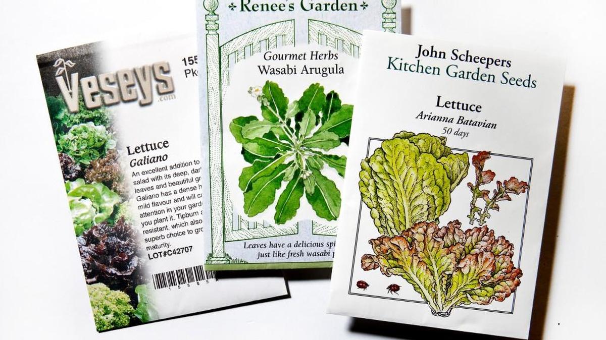 Seed packets provide information such as planting depth and how long it will take before the seedlings are ready to be moved outdoors.