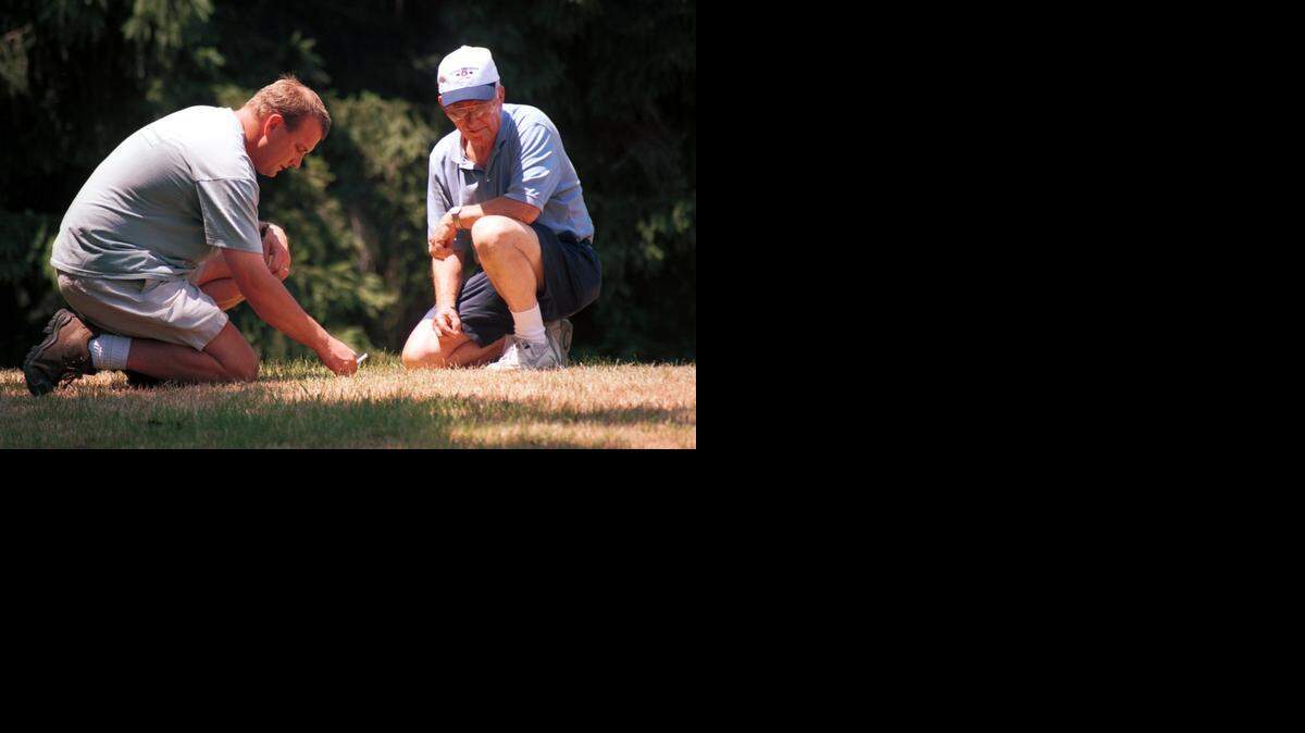 
Grass turned brown by armyworms should recover as long as the lawn has been watered during dry spells.
