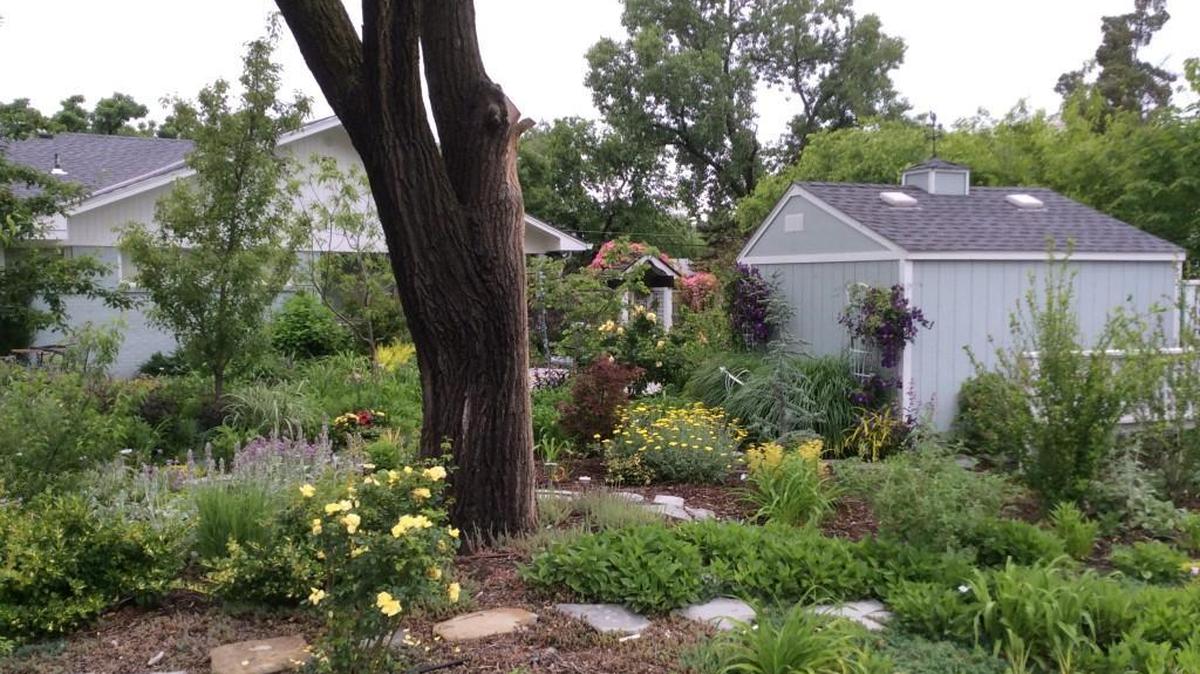 You can see how a yard with no grass and all garden is done at 10 Hawthorne in Forest Hills, on the master gardeners’ tour this weekend.