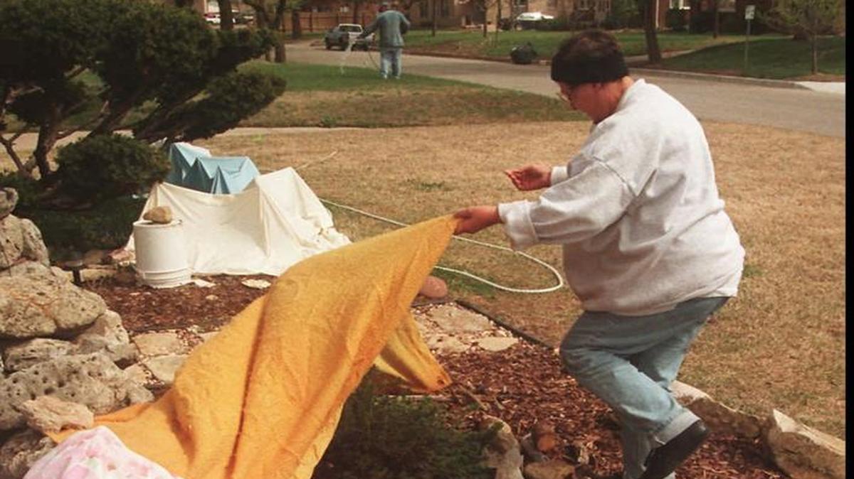 “Ambitious” gardeners should cover plants that have gone into the yard early, extension agent Matthew McKernan says.