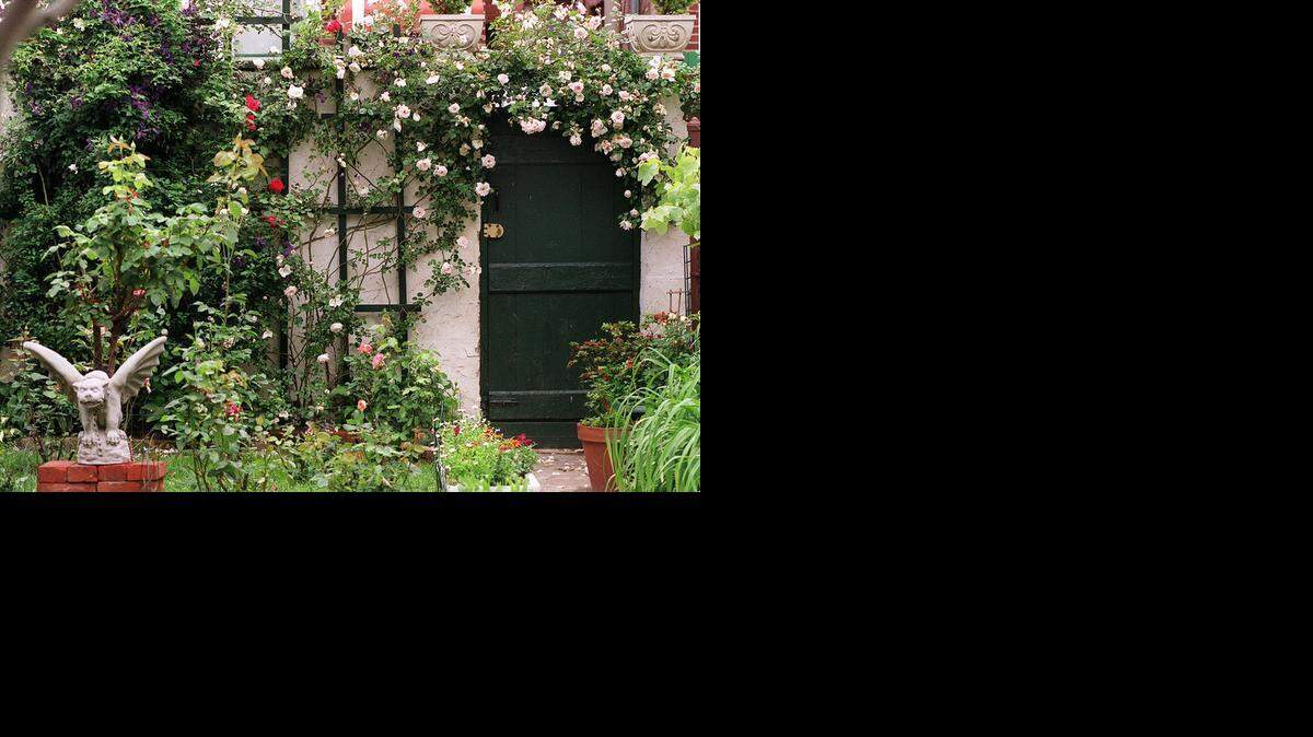 
Creative supports for climbing roses will be the subject of the meeting of the Wichita Rose Society on Tuesday.
