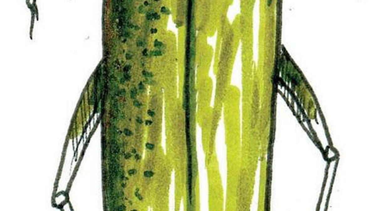Emerald ash borer