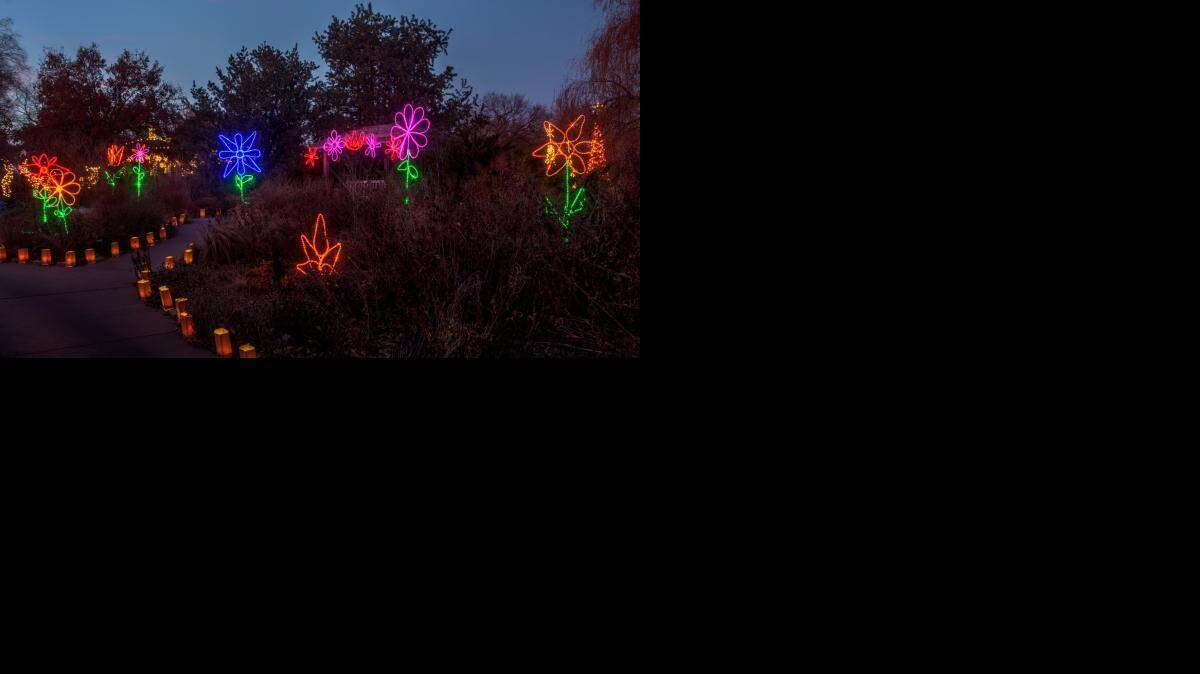 
Botanica’s wildflower garden is among those lighted for Illuminations.
