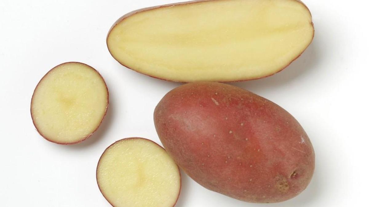 The starches in potatoes can switch to sugars and back in response to storage temperature.