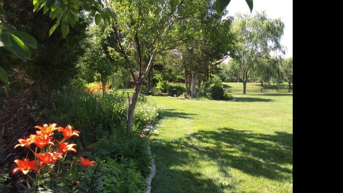 
Orange daylilies and heavenly trees are in the foreground; the garden bed in the background is shaped like Taiwan.
