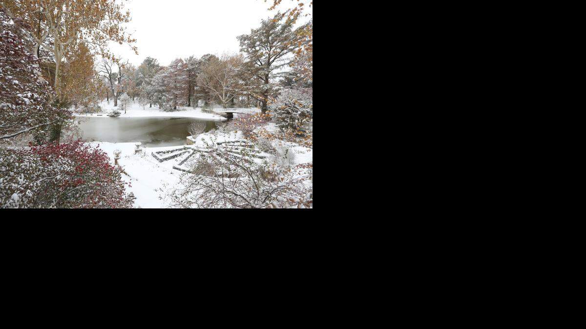 
Fall color is still visible through the snow at Bartlett Arboretum in Belle Plaine last Sunday.
