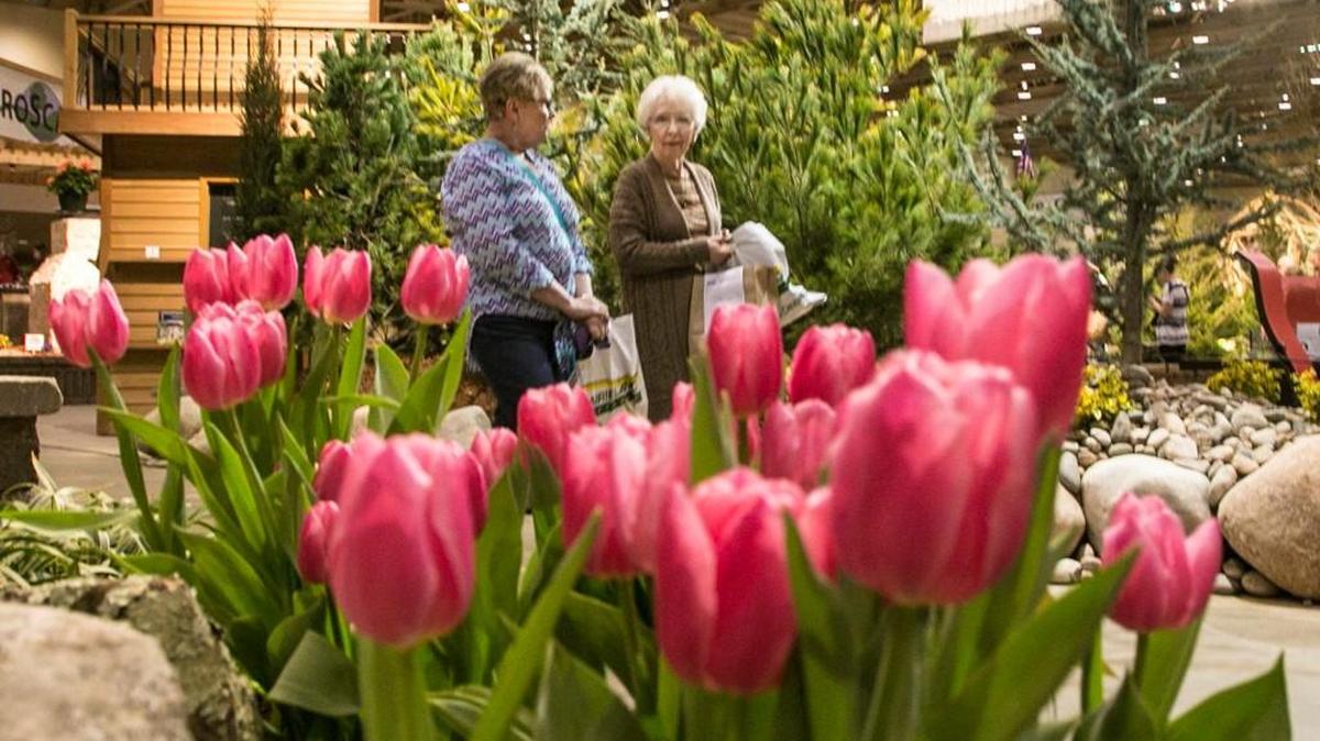Pat Cavanaugh, left, and Joan Porter, both from Topeka, stroll past some tulips at the 2016 Outdoor Living and Landscape Show at Century II. (March 4, 2016)