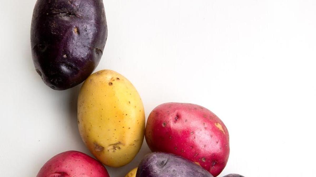 Now through the end of March is the time to plant potatoes.