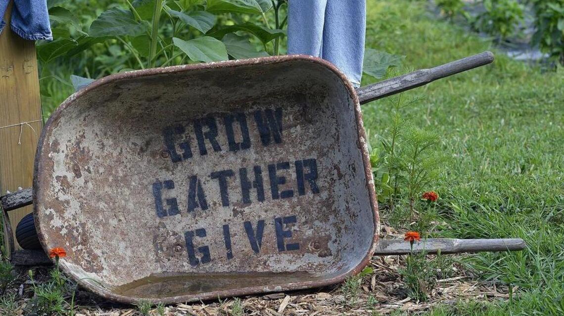 ‘I can’t do much else, but I sure can grow food.’ Plant a Row feeds those in need