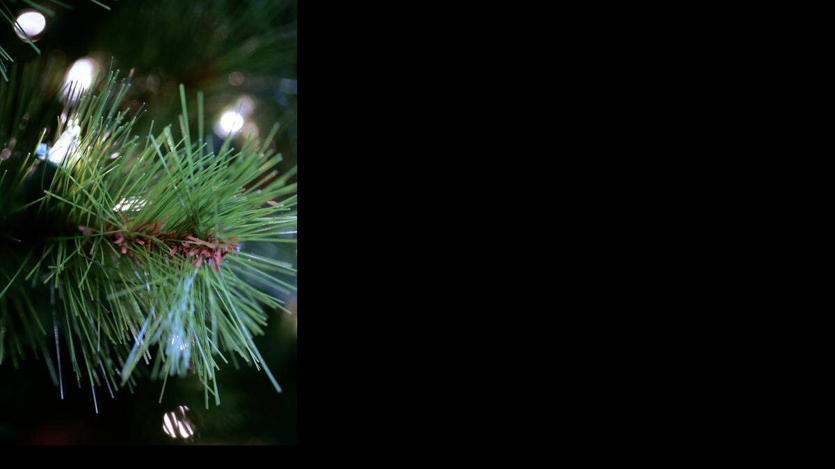 
Most fake trees, like this one, at least purport to be real. The one at Ikea didn’t even try.
