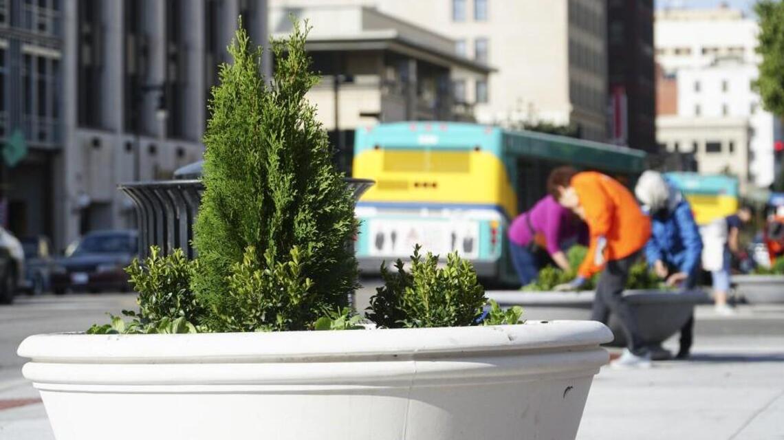 Here’s how to plant pots that will live through the winter in Wichita