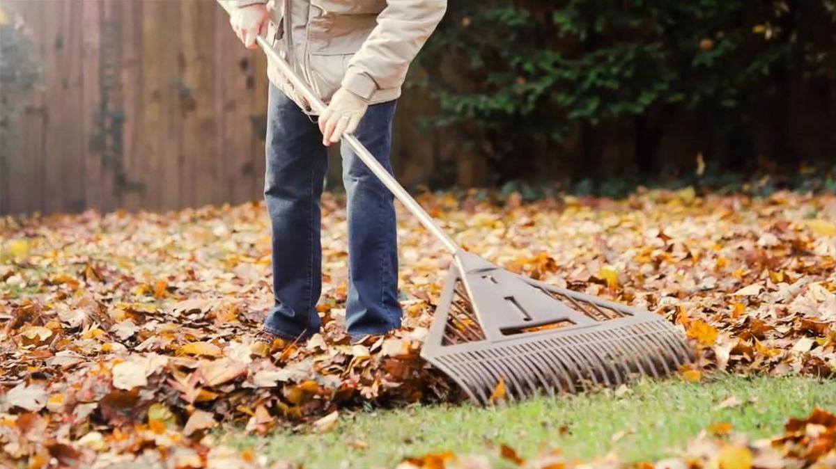 Mulch-mowing leaves is an easy way to take care of them, but if you rake, the 26-inch Dual Tine Poly Leaf Rake from Ames is a new one this fall. One version includes a small, removable hand rake.