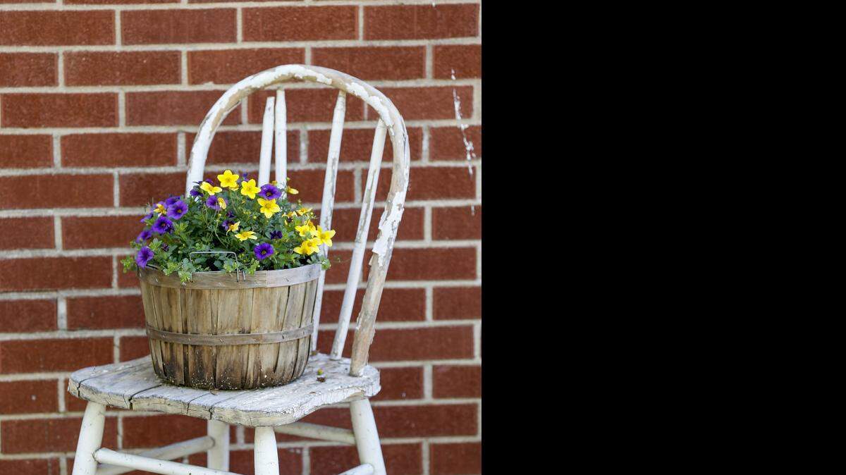 
Grandma’s old junk chair is a decorative pot holder in Angie Myrtle’s front yard.
