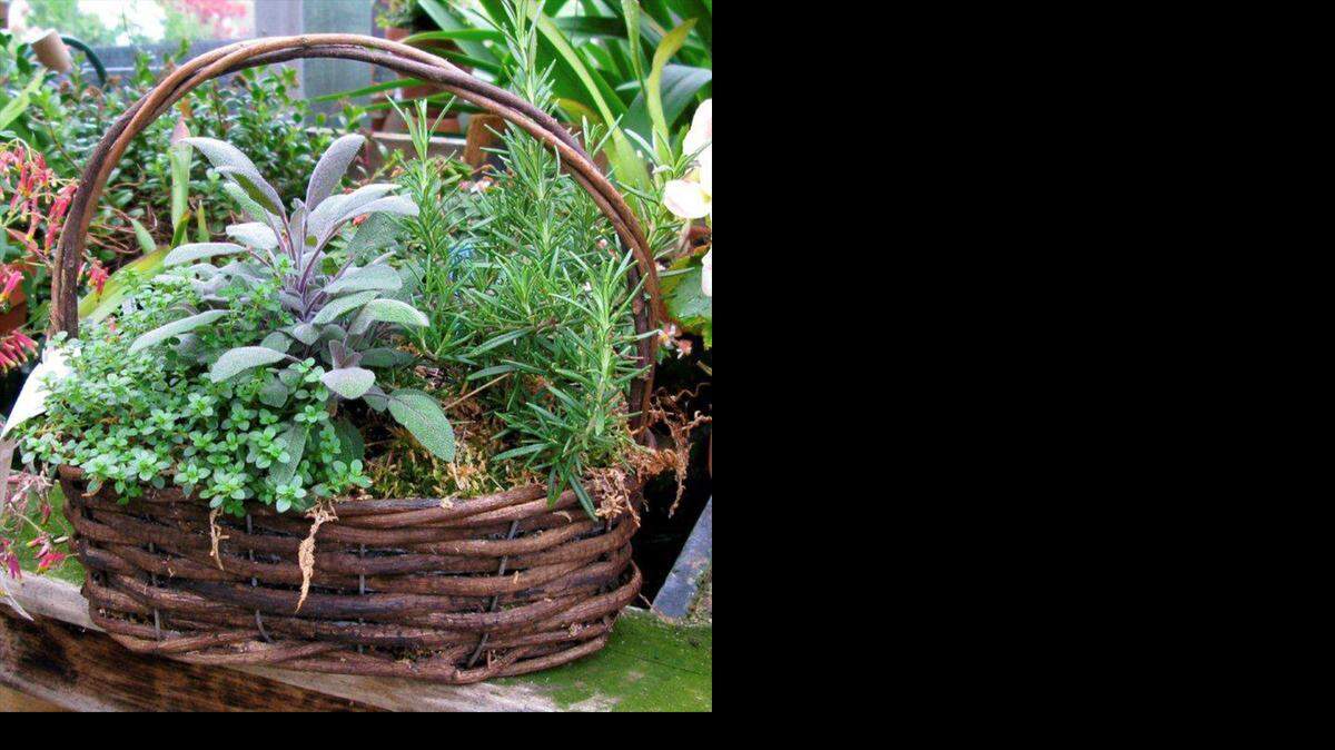 
Herbs including thyme, sage and rosemary can take the cold. 
