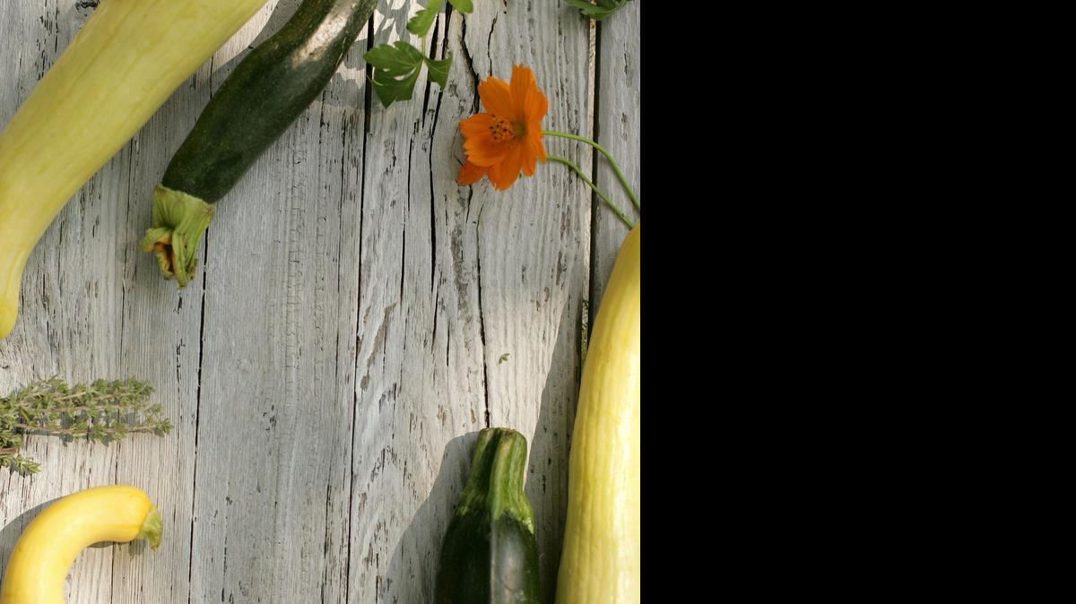 
How to grow and cook with squash is the topic of a free Saturday Sampler at 9 a.m. Saturday at the Extension Center garden.
