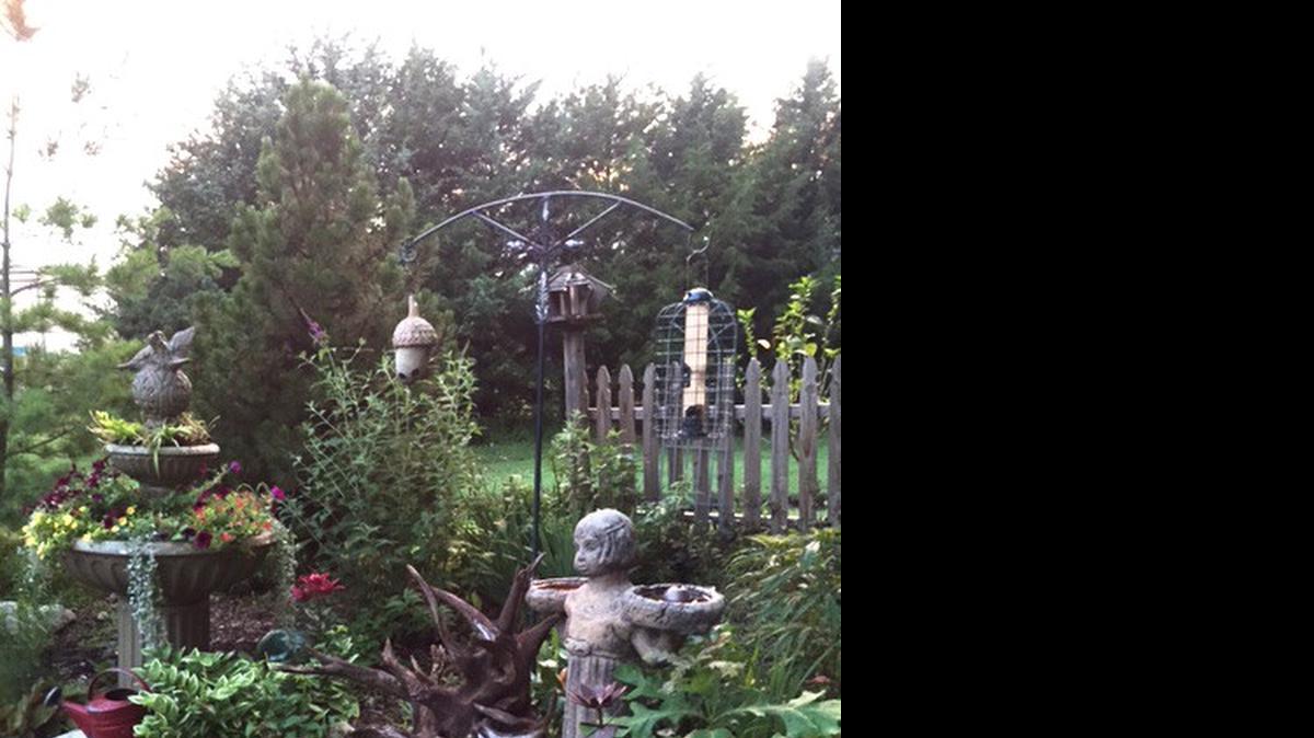 
A view of Debbie Lucas’ garden in El Dorado.
