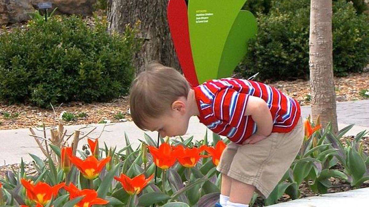 Tulips, Fairies & Forts will take place the next four Saturdays at Botanica.