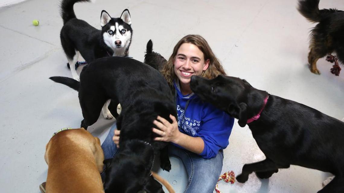 Randi Carter, owner of All Dogs Bark-N-Play, plays with some of the dogs at her kennel. (Dec. 4, 2015)