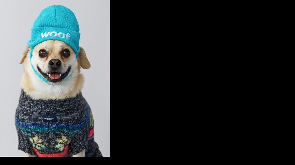 
American Eagle Outfitters makes an American Beagle Outfitters beanie and sweater. 
