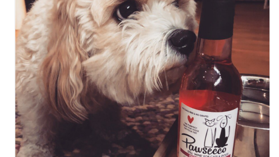 No more whining from your pets, they can now drink with you